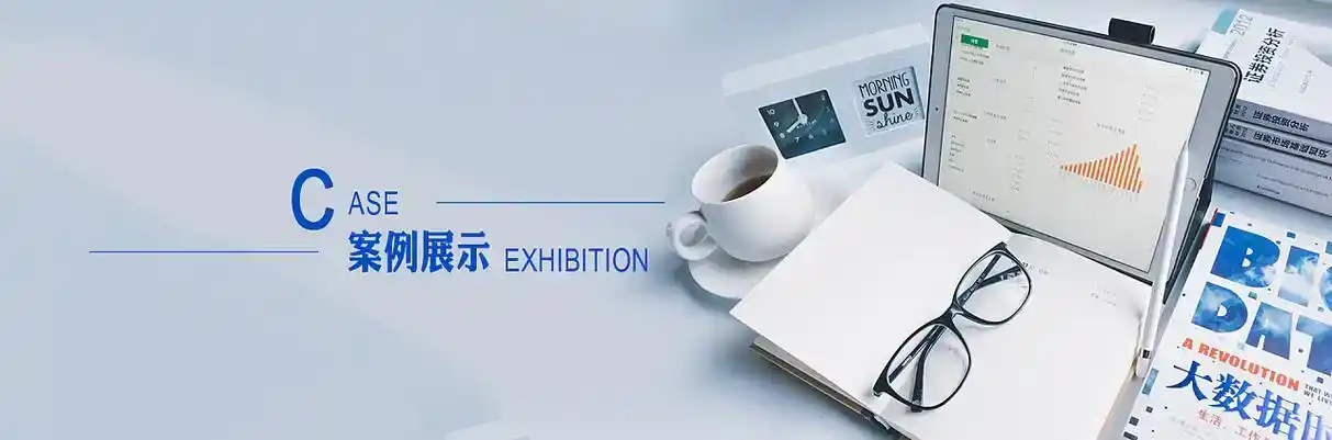 迎江区软件开发